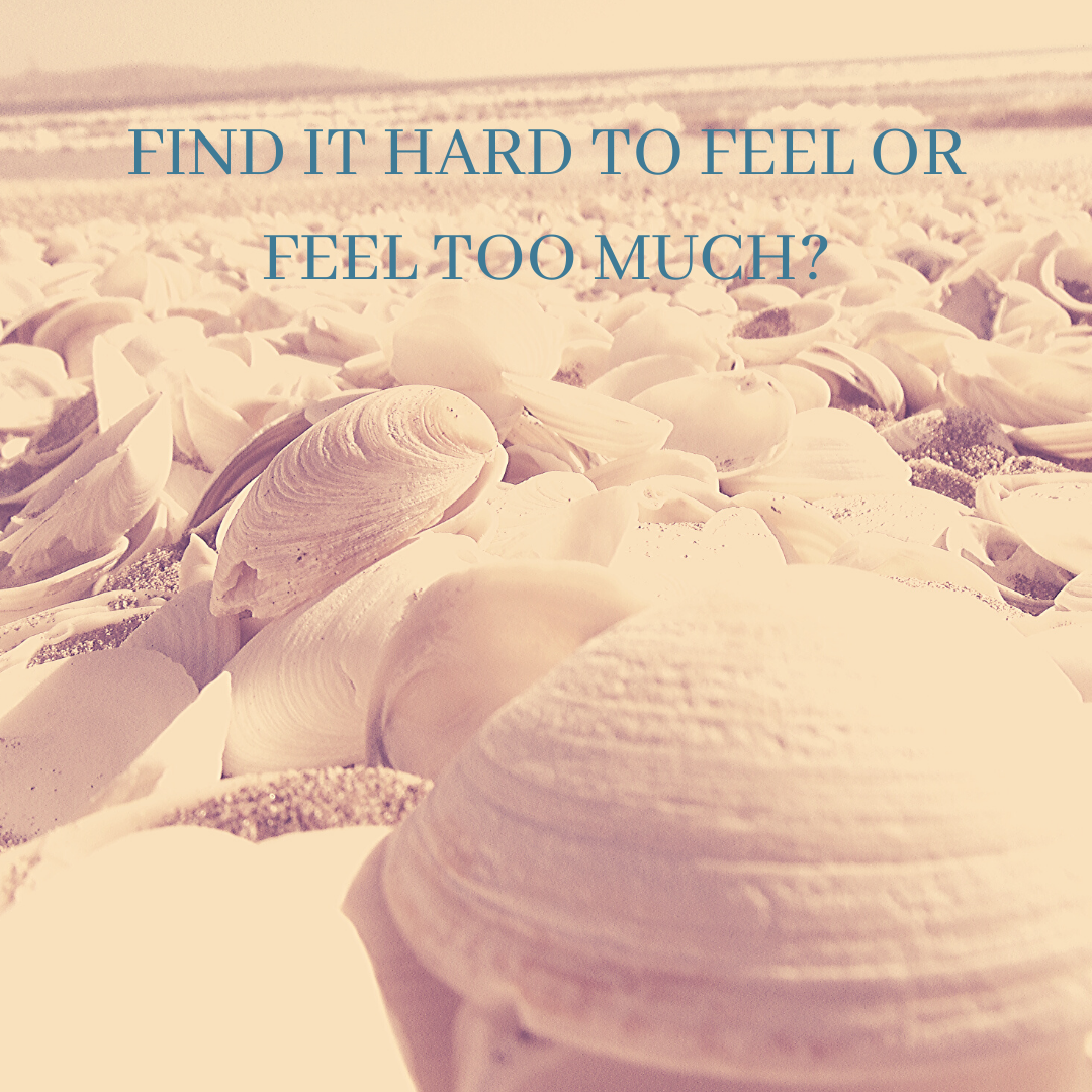 Find it Hard to Feel or Feel too much