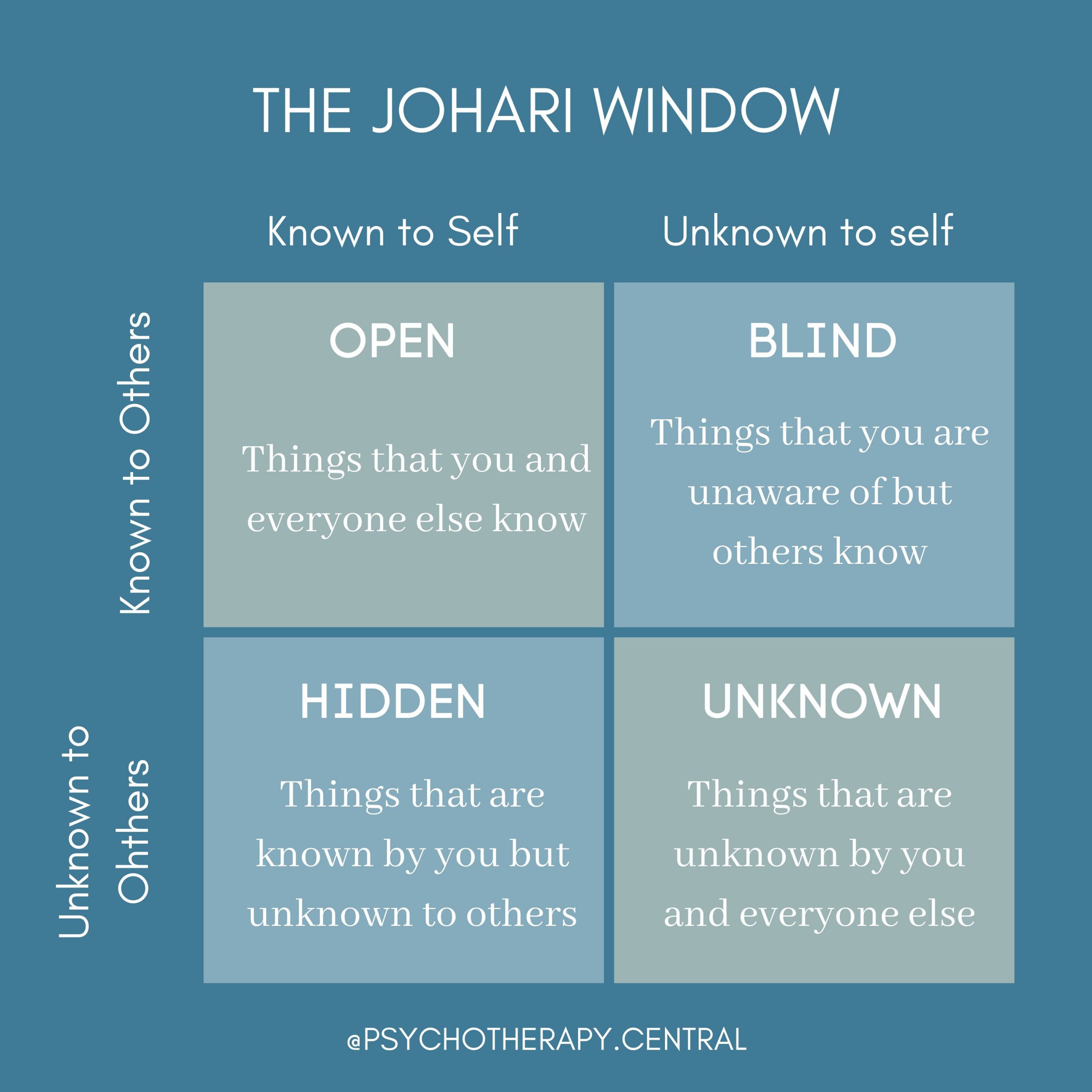 The Johari Window