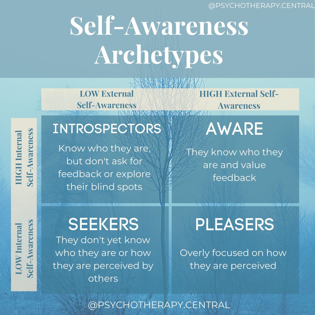 Self-Awareness Archetypes
