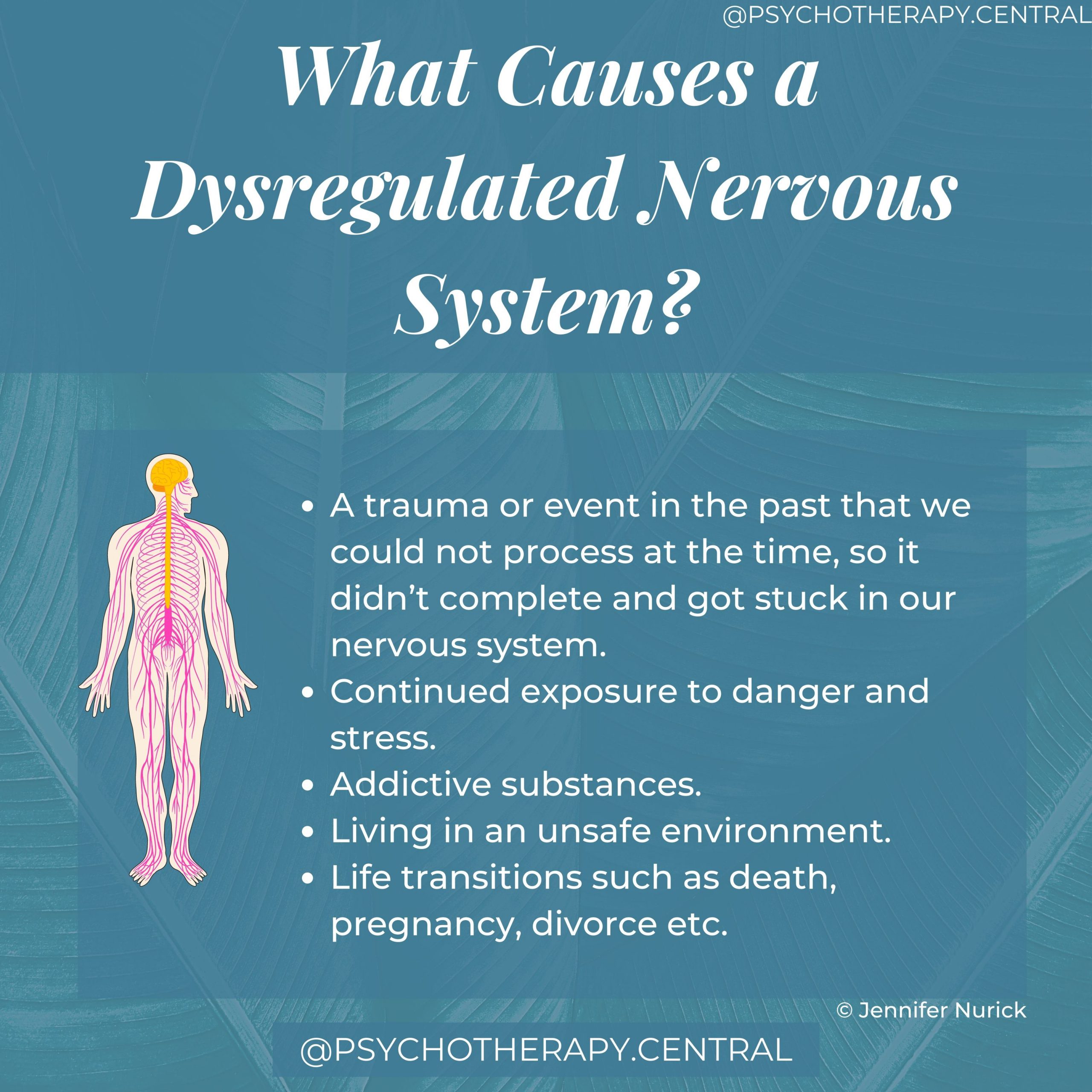 What Causes A Dysregulated Nervous System?