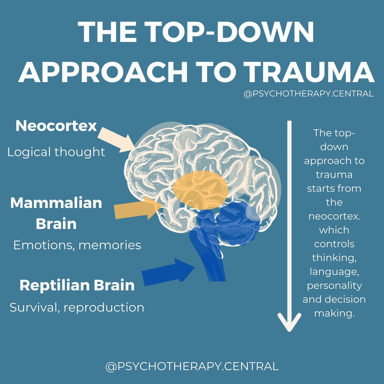 THE TOP-DOWN APPROACH TO TRAUMA
